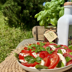 Tomate Mozzarella Salat 